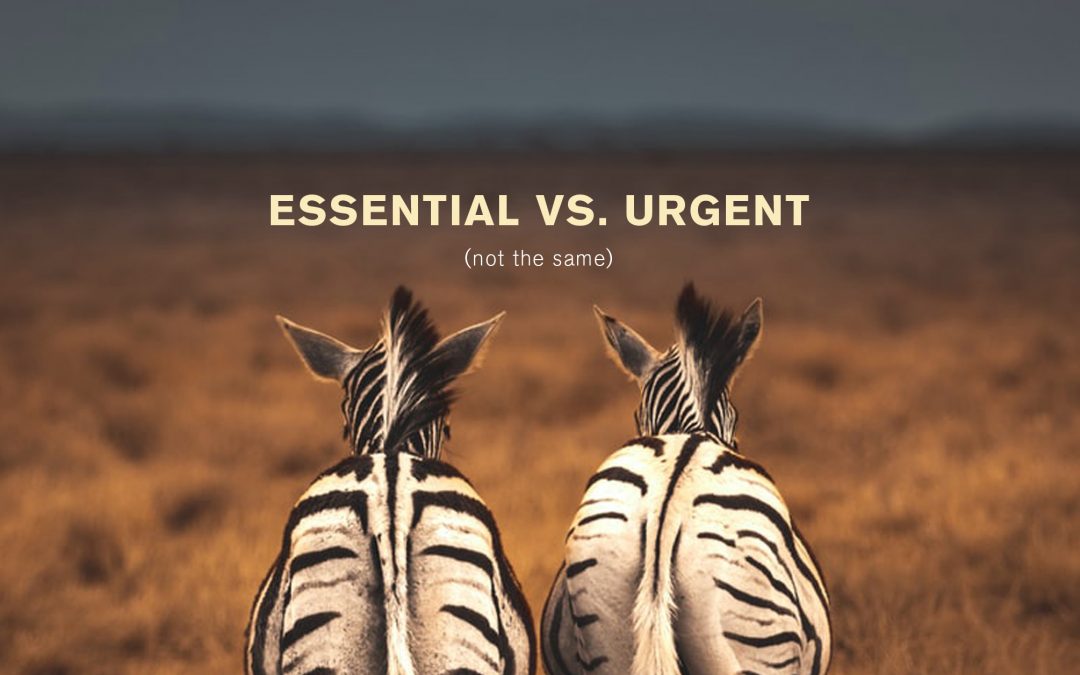Essential vs. Urgent