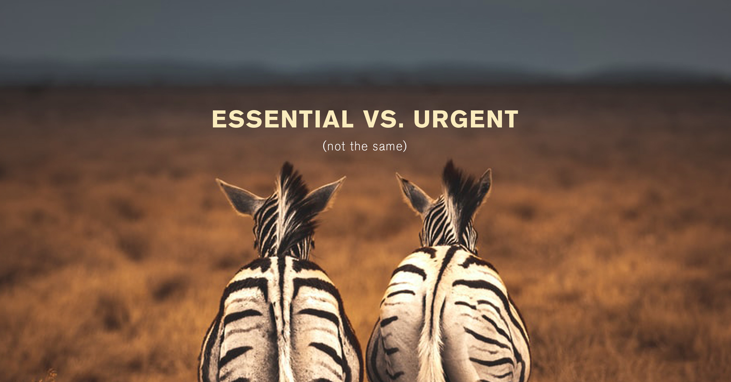 essential-vs-urgent-prioritizing-time-management-strategic-agency-fort-collins