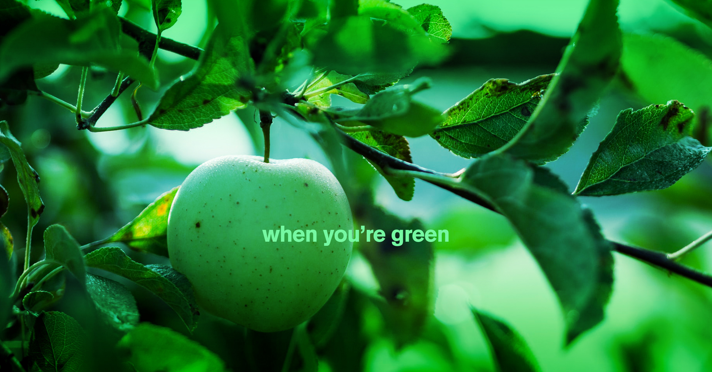 when-you're-green-you're-growing-blog-article
