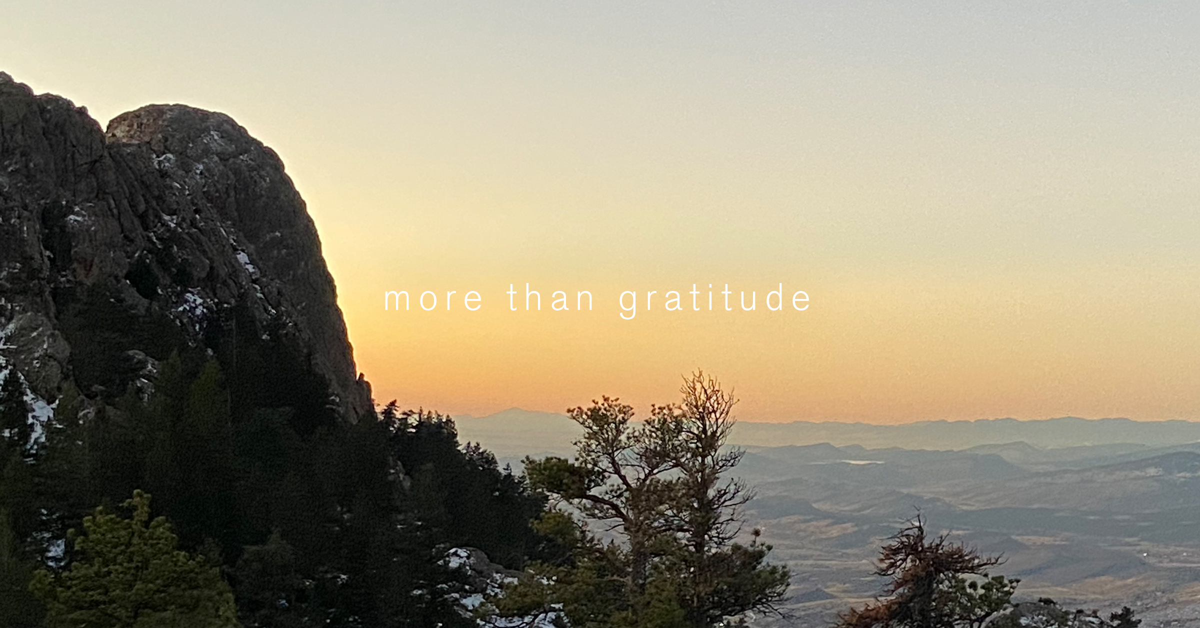 more-than-gratitude-thanksgiving-agency-marketing-fort-collins