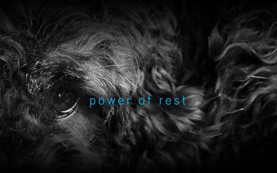 Power of Rest